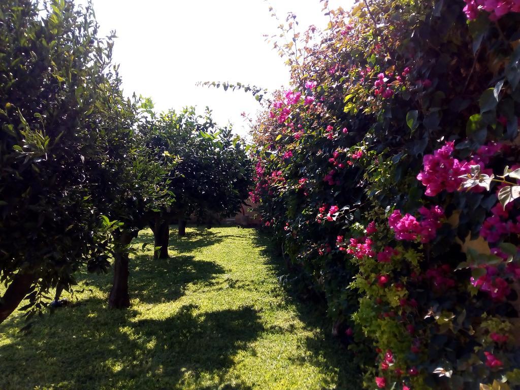 Baglio Olivastro Bed and Breakfast Digerbato Buitenkant foto